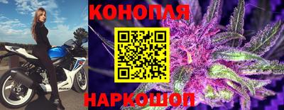 прущие крисы Коммунар