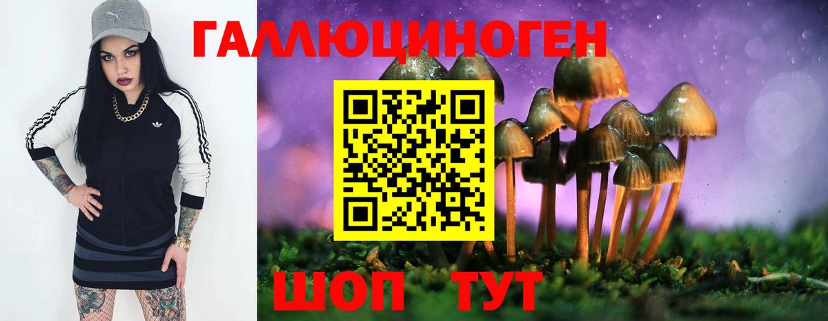 Киреевск  Галлюциногенные грибы мицелий  Вход с VPN  Псилоцибиновые грибы GOLDEN TEACHER 